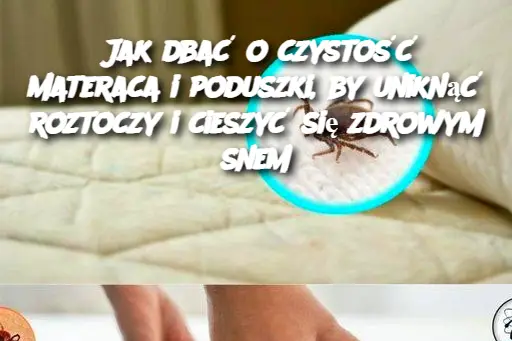 Jak dbać o czystość materaca i poduszki, by uniknąć roztoczy i cieszyć się zdrowym snem