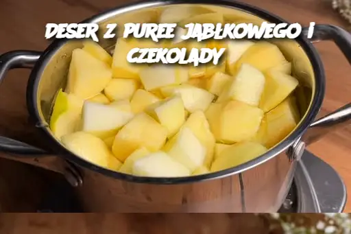 Deser z puree jabłkowego i czekolady