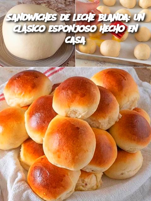 Sandwiches de leche blanda: un clásico esponjoso hecho en casa