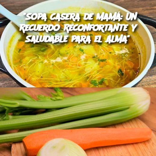 "Sopa Casera de Mamá: Un Recuerdo Reconfortante y Saludable para el Alma"