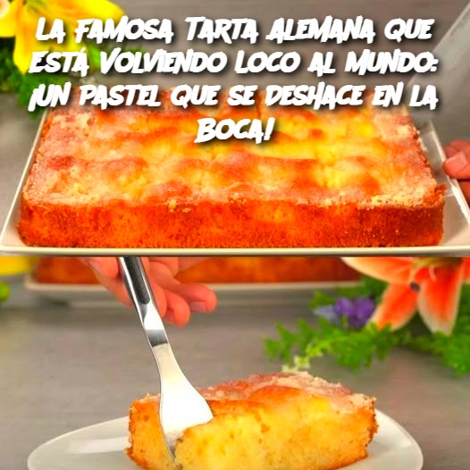 La Famosa Tarta Alemana que Está Volviendo Loco al Mundo: ¡Un Pastel que se Deshace en la Boca!