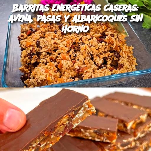 Barritas Energéticas Caseras: Avena, Pasas y Albaricoques Sin Horno